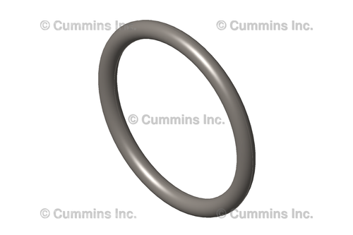 3347939 - Injector O Rings ISX/QSX