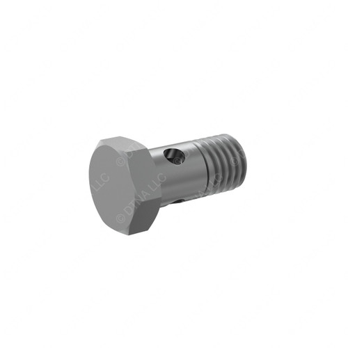 N915036006100 - HOLLOW SCREW / BANJO BOLT