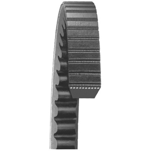22450 - BELT