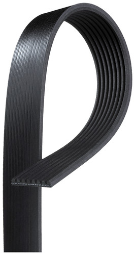 K080825 - Fan Belt - Paccar PX-7, M2-106 MBE