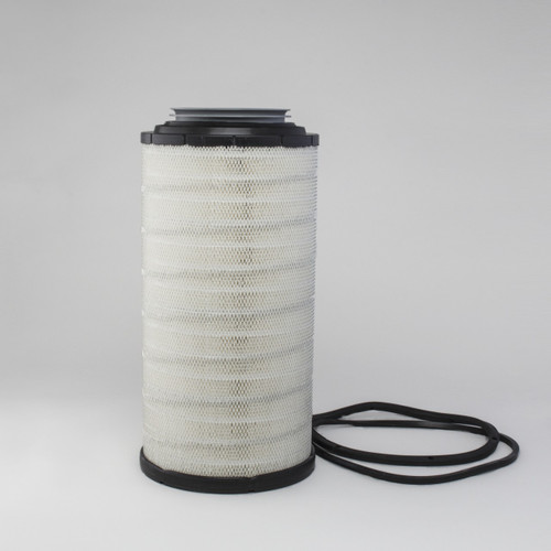P625128 - AIR FILTER PET 389