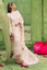 Nureh | Mela Luxury Lawn | NDS-104