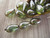 teardrop Czech glass beads