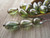Czech glass beads