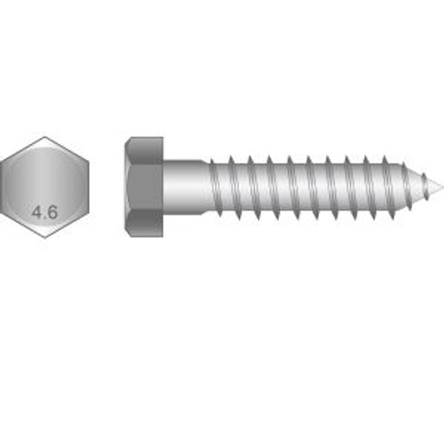 Coach Screws Galv 8 X 75