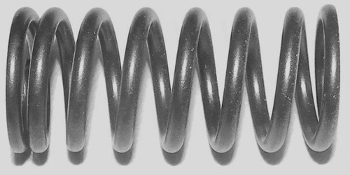 Valve Spring Inner S D