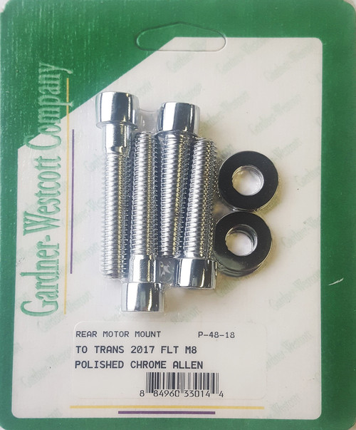 Rear Motor Hardware Kit Flt M8