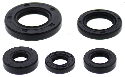 Oil Seal Set 822990