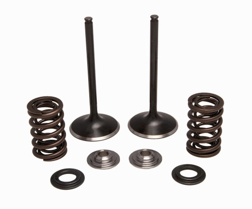 Intake Valve/Spring Kit Stainless