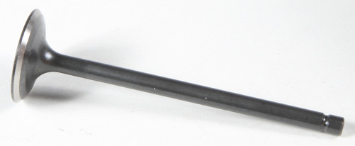Black Diamond Intake Valve 80-80060