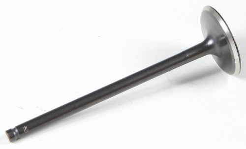 Black Diamond Intake Valve 40-40920
