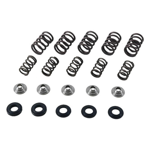 Hot Cams 01-05 YFM 660 R Raptor Valve Spring Kit
