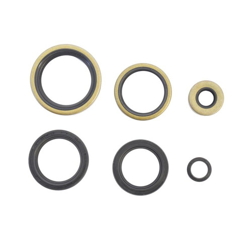 Athena Harley-Davidson Engine Oil Seal Kit P400195400740
