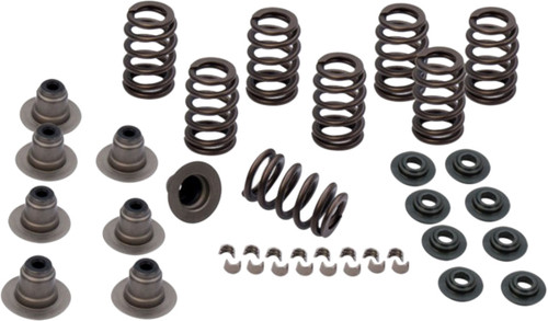 Spring Kit .600 Lift M8 Models Spring Kit .600 Lift M8 Models