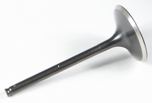 Black Diamond Intake Valve 30-31612
