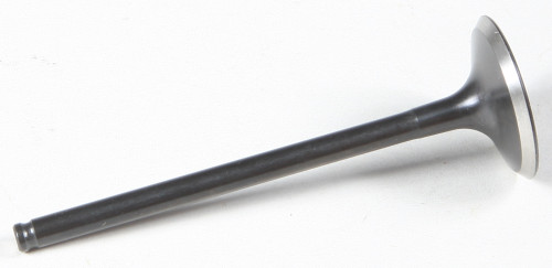 Black Diamond Intake Valve 30-30910