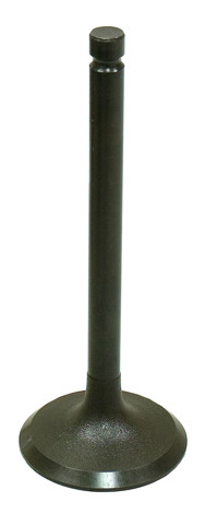 Intake Valve AU-09157I