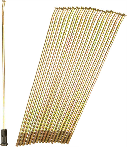 Double Butted Spokes Gold/Black Rear 19" 36/Pk