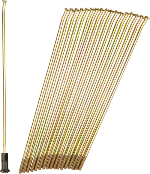 Double Butted Spokes Gold/Black Rear 19" 36/Pk 19-G205203-2