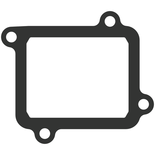Vforce4 Gasket Vforce4 Gasket