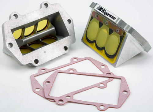 Snowmobile Rage Cage RAD51C-2