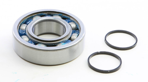 Main Bearing & Seal Kit K081