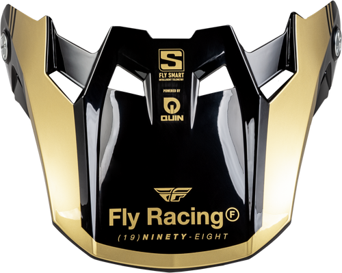 Formula S Carbon Legacy Visor Black/Gold Yl/Sm Formula S Carbon Legacy Visor Black/Gold Yl/Sm