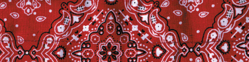 Cooldanna Paisley Red