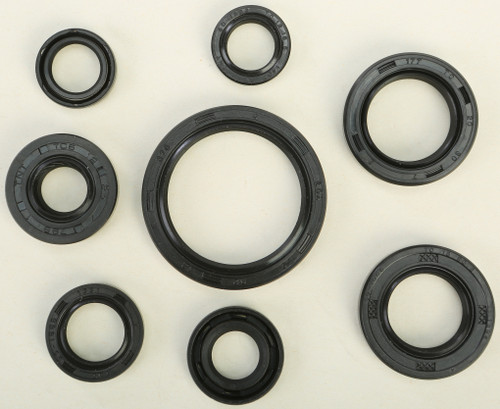 Oil Seal Set 822228