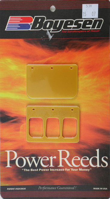 Snowmobile Reeds 538