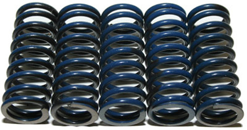 High Temp Springs 5 Springs CS294-5-0109