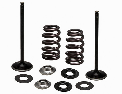 Ss Intake Valve/Spring Kit
