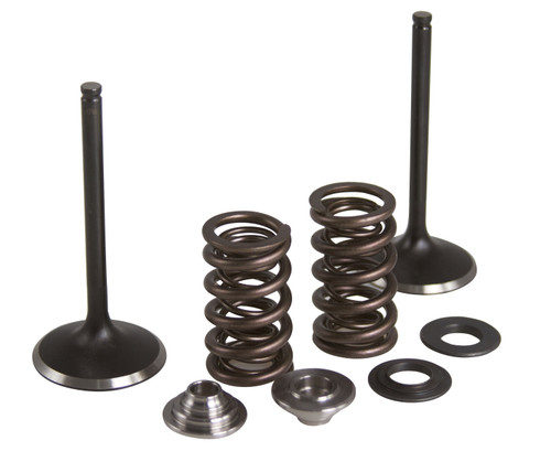 Intake Valve/Spring Kit Stainless Steel Yam Intake Valve/Spring Kit Stainless Steel Yam