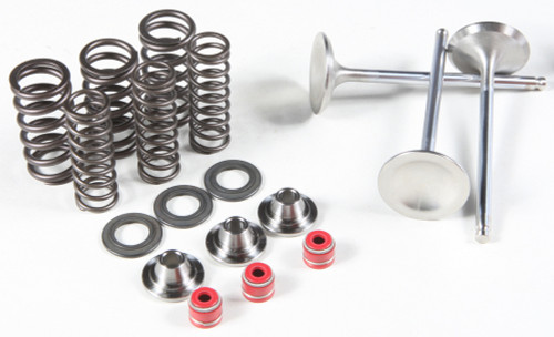 Intake Valve/Spring Kit Stainless Steel 80-80950 Intake Valve/Spring Kit Stainless Steel 80-80950