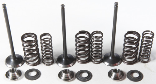 Intake Valve/Spring Kit Stainless Steel 80-80850 Intake Valve/Spring Kit Stainless Steel 80-80850
