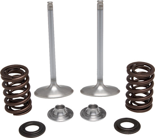 Intake Valve Spring Kit 60-60450