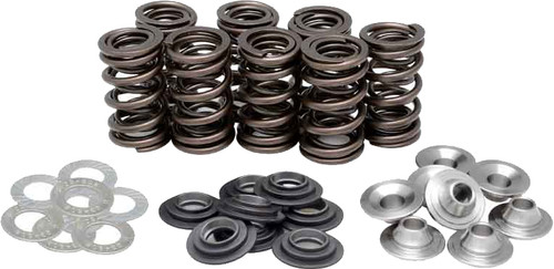 Racing Valve Spring Kit 82-82500