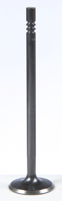 Black Diamond Exhaust Valve 82-82068