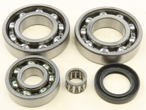 Rear Differential Bearing And Seal Kit 25-2018