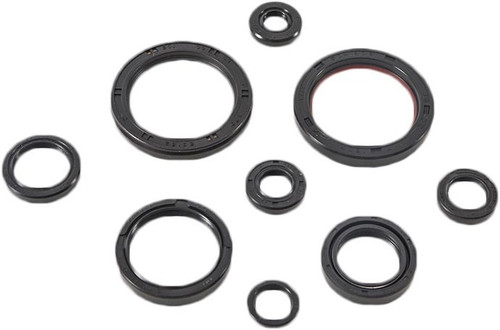 Oil Seal Set 822989