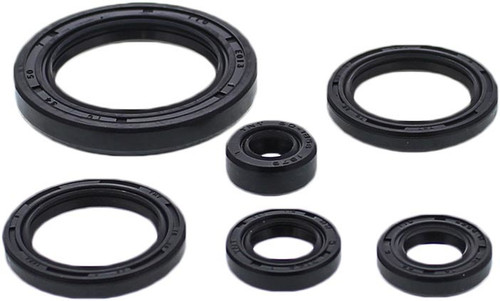 Oil Seal Set 822978