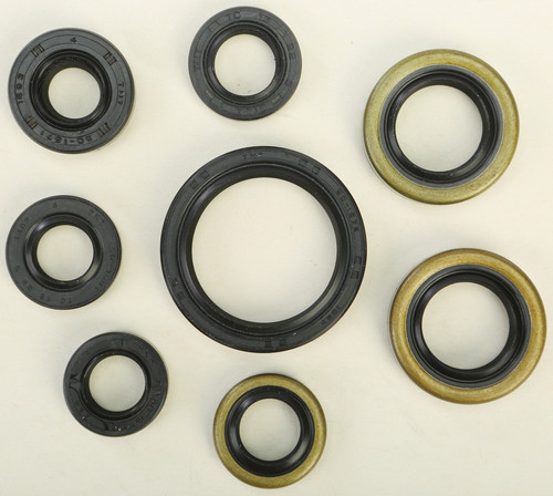 Oil Seal Set 822485
