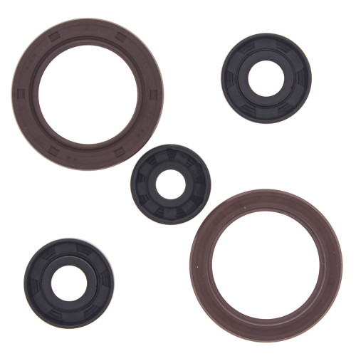 Oil Seal Set 822363