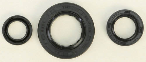 Oil Seal Set 822331