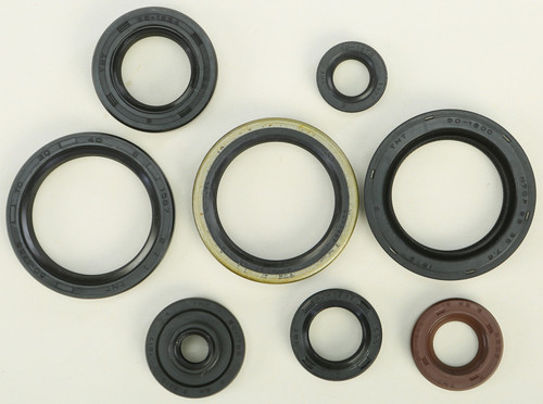 Oil Seal Set 822329