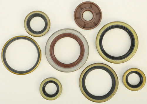 Oil Seal Set 822320