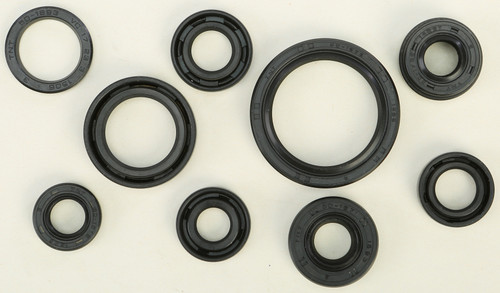 Oil Seal Set 822319