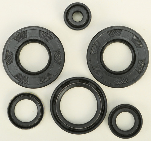 Oil Seal Set 822290