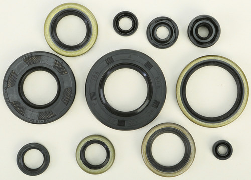 Oil Seal Set 822288