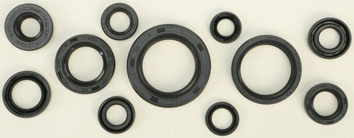 Oil Seal Set 822271